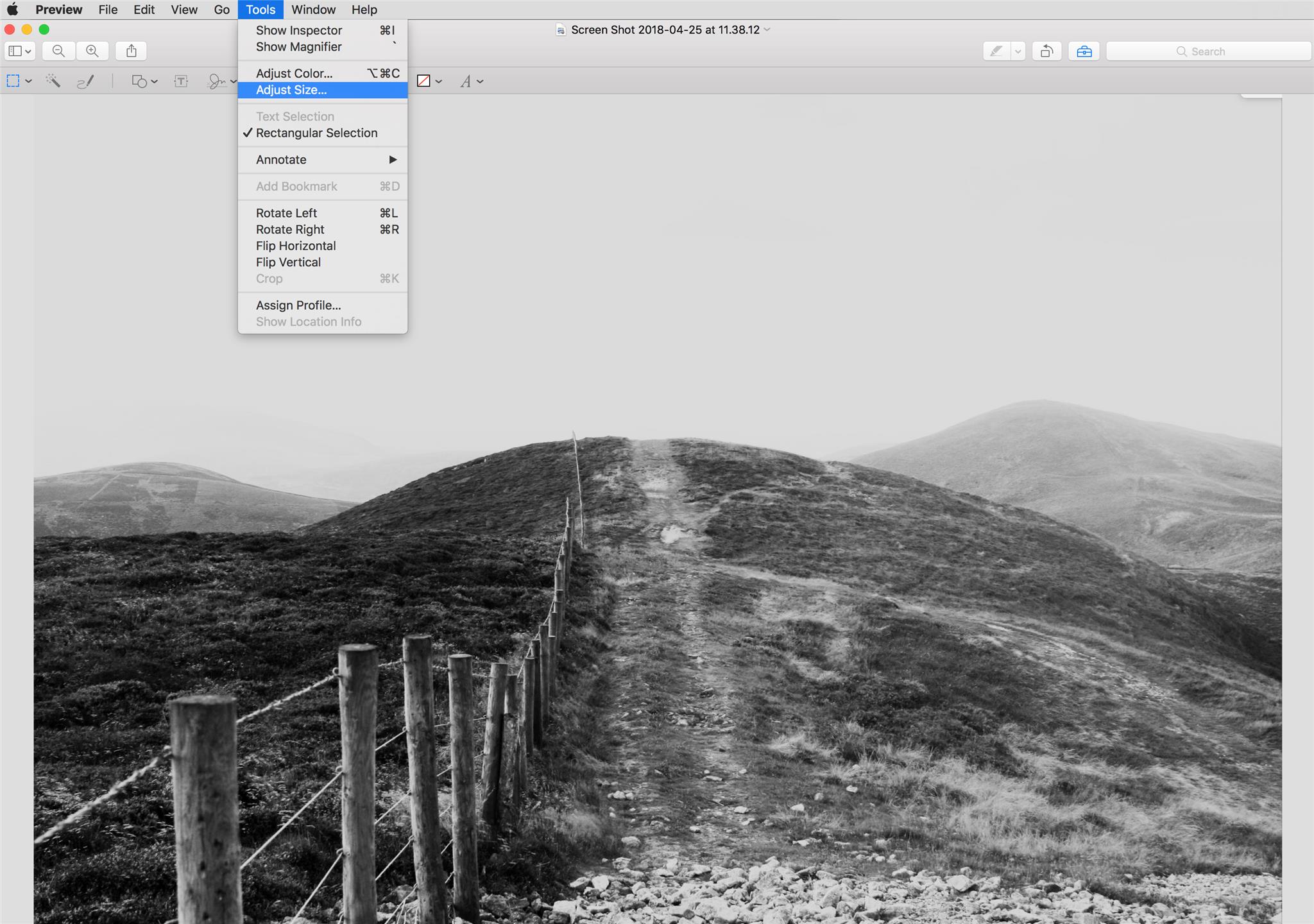MacPreview_Image_Resize_1.png